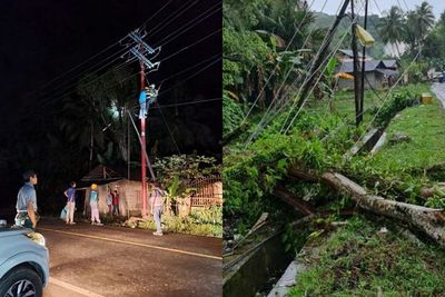 Pasca Padam Gegara Pohon Tumbang, Jaringan Listrik di Kepulauan Nias Kembali Pulih