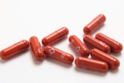 Obat Molnupiravir akan datang di awal Desember, Harganya di Bawah 1 Juta