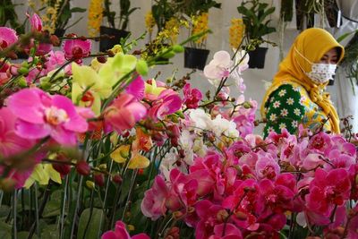 Pameran Anggrek Batu Orchid Week , Berikut Foto-fotonya