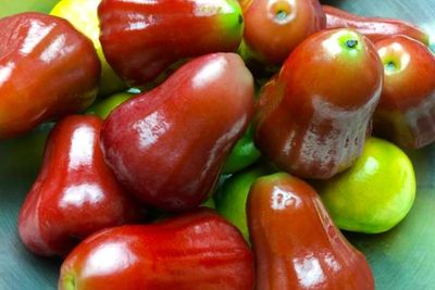 Tak Hanya Enak dan Menyegarkan, Ini 4 Manfaat Jambu Air Bagi Kesehatan