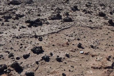 Studi Ini Mengungkapkan Pecahan Kaca Gelap yang Ditemukandi Gurun Atacama