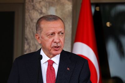 Iseng Foto Rumah Erdogan, Traveler Israel Diringkus Tentara Turki