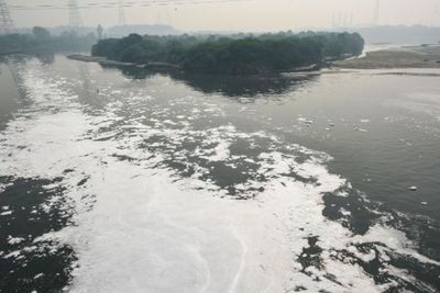 Merayakan Festival Dewa Matahari Chhath Puja, Sungai Yamana di India Tercemar