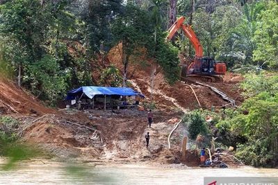 Miris, Lebih dari 2 Ribu Hektar Hutan di Aceh Rusak Akibat Tambang Emas Ilegal