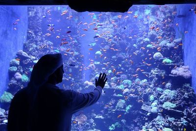 FOTO: Melihat Aquarium Terbesar di Timur Tengah yang Dibuka di Abu Dhabi