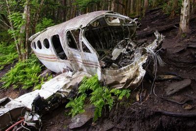 Demi Melindungi Putrinya yang Masih 11 Tahun, Seorang Ayah Tewas Akibat Kecelakaan Pesawat