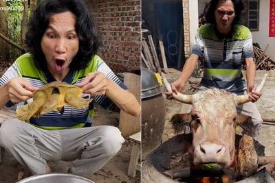 Viral Pria Masak Bulus dan Kepala Sapi Utuh, Bikin Netizen Bergidik
