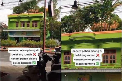 Anti-Mainstream! Viral Pohon Pisang yang Ditanam di Atap Rumah