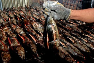 Pasokan Menurun, Harga Ikan Cakalang Asap Papua Naik, Ini Foto-fotonya