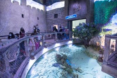 Abu Dhabi Punya Akuarium Terbesar di Timur Tengah, Dinamai The National Aquarium
