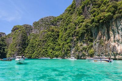 Wisata Maya Bay Kembali Dibuka, Berikut Aturan yang Harus Dipatuhi