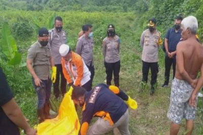 Geger! Penemuan Tulang Belulang Manusia di Perkebunan Swasta Mendaris Sergai