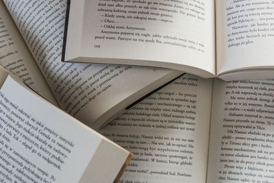 Pengertian Majas Personifikasi Lengkap dengan Contohnya