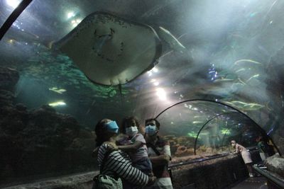 Cegah Penularan Covid-19, Pengunjung Diminta Beli Tiket Masuk Ancol Lewat Aplikasi