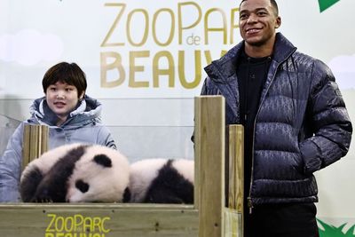 Potret Kylian Mbappe Jadi Ayah Baptis 2 Anak Panda yang Lahir di Kebun Binatang Prancis
