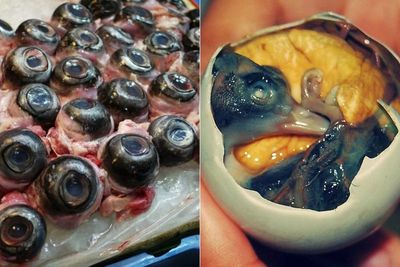Sederet Makanan Aneh di Dunia, Mulai dari Bola Mata Ikan Tuna Hingga Telur Berembrio