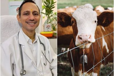 Viral Dokter India yang Sarankan Makan Kotoran Sapi Demi Kesehatan, Tuai Kontroversi