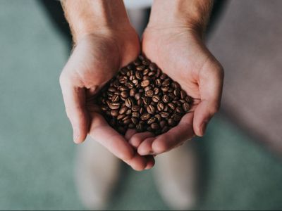 Sejarah Singkat dan Empat Jenis Tanaman Kopi yang #KAMUHARUSTAU