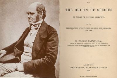 Sejarah Buku The Origin of Species , Teori Charles Darwin soal Evolusi Manusia dari Kera