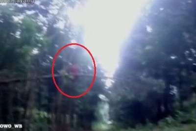 Momen Pria yang Bertemu dengan Makhluk Diduga Kuntilanak Merah Saat Berkendara di Hutan