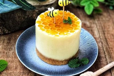 Begini Cara Membuat Puding Cheesecake Madu Yang Enak dan Lezat