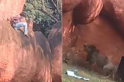 Diduga Alami Gangguan Jiwa, Pria Ini Nekat Masuk ke Kandang Singa untuk Cari Berlian