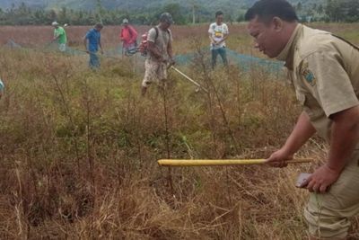 Jelang Musim Tanam Padi, Petani di Tapsel Lakukan Gerdal, Puluhan Tikus Dimusnahkan
