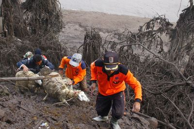 Menko PMK akan Koordinasikan Kementerian dan Lembaga untuk Tangani Erupsi Gunung Semeru