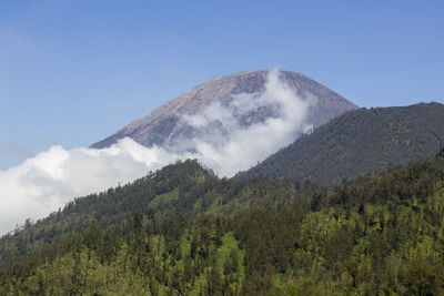 Erupsi, Ini 5 Mitos Gunung Semeru yang Masih Jadi Misteri di Kalangan Pendaki