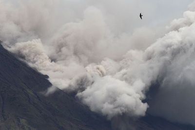 Korban Erupsi Semeru: 15 Warga Meninggal Dunia dan 27 Orang Hilang