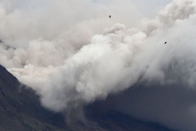 Gunung Semeru Kembali Luncurkan Awan Panas, Ini Foto-fotonya
