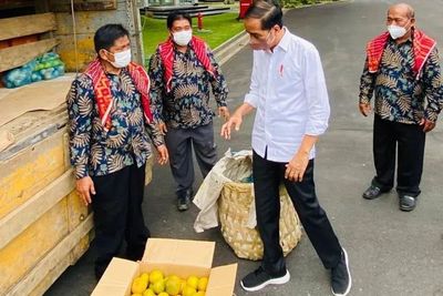Terima 3 Ton Jeruk dari Warga Karo, Presiden Jokowi Perintahkan Perbaiki Jalan Rusak