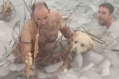 FOTO: Penyelamatan Anjing yang Terjebak di Bendungan Beku di Spanyol