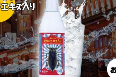 Bukan Jeruk, Minuman Ini Justru Dibuat dengan Rasa Serangga, Berani Coba?