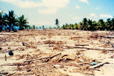 Mengenang Gempa dan Tsunami Flores 12 Desember 1992, Ribuan Orang Tewas dan Hilang