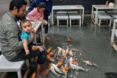 Sensasi Makan Rujak di Dalam Kolam Ikan Koi, Kamu Berani Coba?