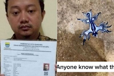 POPULER: Herry Pemerkosa 21 Santriwati Satu Sel dengan Begal & Pria Pegang Siput Naga Biru