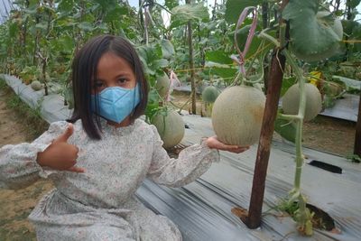 Seru, di Kebun Ini Kamu Bisa Wisata Petik Melon Sepuasnya. Masuknya Gratis!