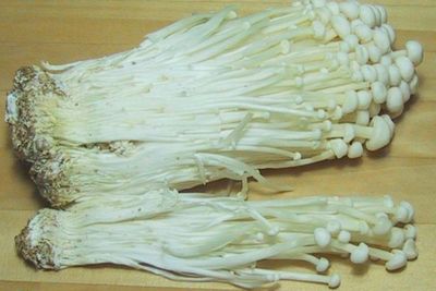 Daftar Manfaat Positif Jamur Enoki untuk Tubuh yang #KAMUHARUSTAU!