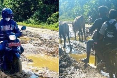 Beredar Foto Jalan Rusak di Pulau Enggano, Kades Sebut Tak Pernah Diperhatikan Pemerintah 