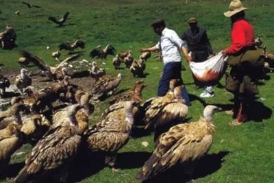 Jenazah Jadi Manik-Manik Hingga Makanan Burung, Ini Prosesi Pemakaman Tak Biasa di Dunia