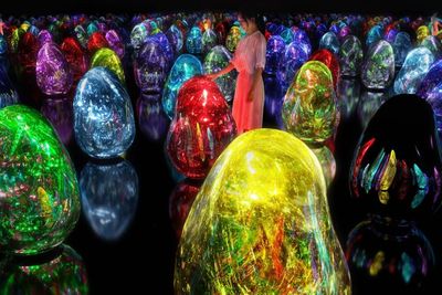 Pemandangan Indah dari Karya Seni teamLab: Resonansi Mikrokosmos dengan Warna dan Nada
