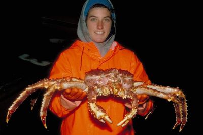 Alasan Menangkap Kepiting Alaska Jadi Pekerjaan yang Berbahaya dan Berharga Mahal