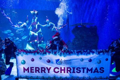 Pertunjukan Sambut Natal dan Tahun Baru, Berikut Foto-fotonya
