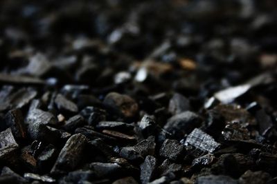 Charcoal Ternyata Tidak Dianjurkan Dikonsumsi dalam Jumlah Berlebihan!