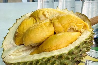 Begini 3 Cara Simpan Durian Agar Awet untuk Oleh-oleh dari Medan