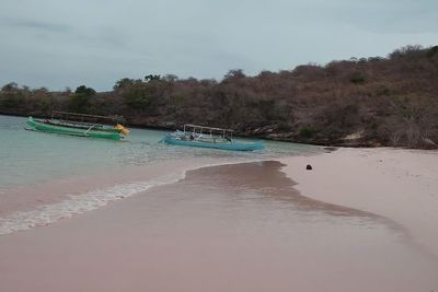 Pantai Pink, Pantai Cantik yang Harus Dikunjungi Jika ke NTB