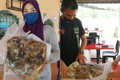 Wanita Ini Temukan Bongkahan Aneh di Laut, Awalnya Dikira Sampah, Rupanya Bernilai Tinggi