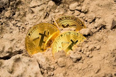 Pria Ini Buang Hard Drive Berisi 7.500 Bitcoin, Tak Sangka Kini Harganya Selangit