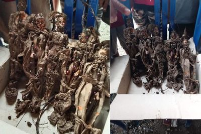 Heboh Warga Temukan 5 Boneka Ditusuk Jarum di Pemakaman di Sulsel, Diduga Boneka Santet